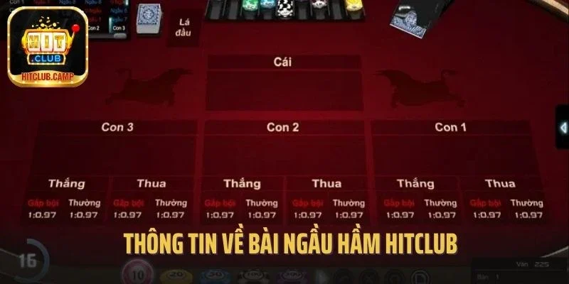 Thông tin về bài ngầu hầm Hitclub